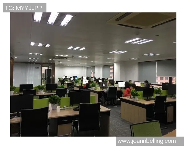 深入分析杭州羽毛球队的运营策略与发展模式探讨