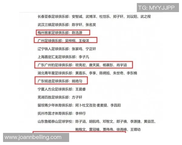 足球热议：广州足球队的力量争议