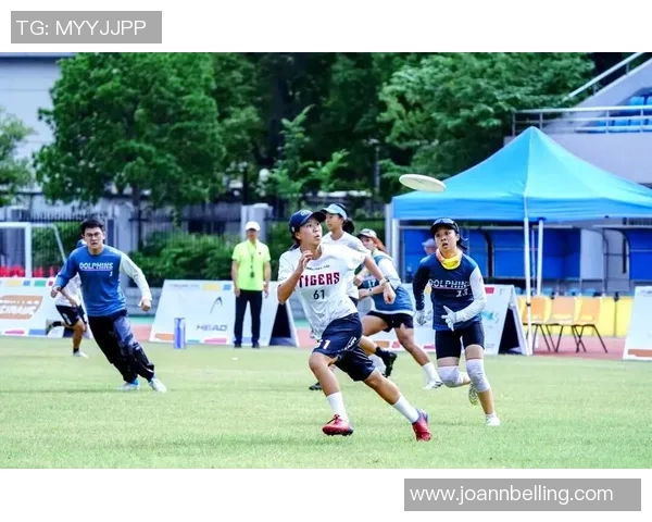 赛后复盘：深圳飞盘队 vs 杭州飞盘队的节奏